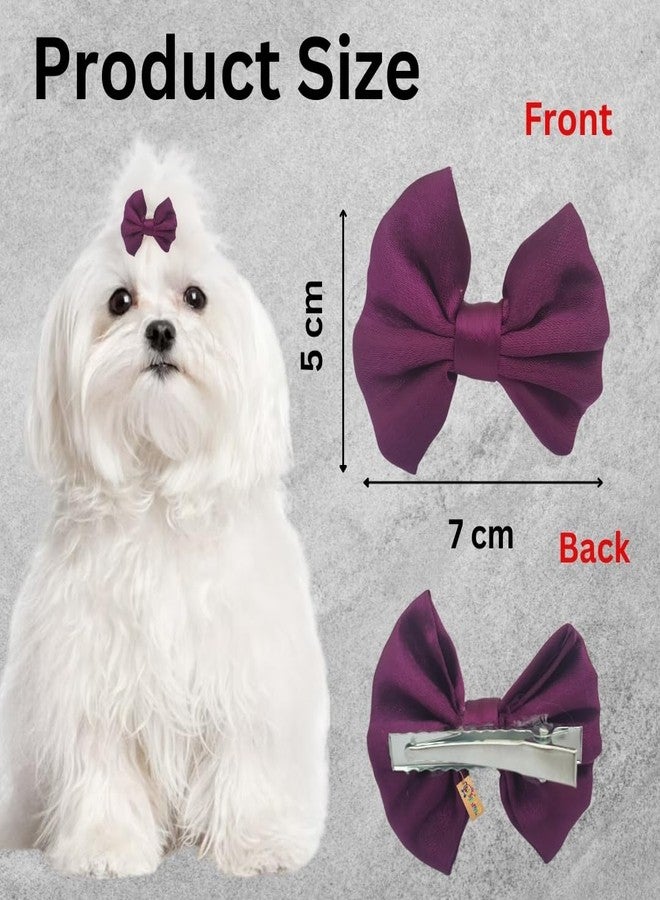 ويستيرن إرا مشبك شعر للكلاب بتصميم مستوحى من العصر الغربي | إكسسوار أنيق للحيوانات الأليفة | ناعم ومريح | مناسب للكلاب الصغيرة والمتوسطة والكبيرة | مثالي للعناية الشخصية، وجلسات التصوير، والحفلات، والاستخدام اليومي | تصميم عصري ومتين للحيوانات الأليفة (بنفسجي) - Image 4